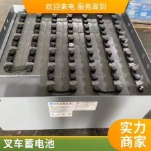  6-EVF-120 12V120AH ڲ泵/۹⳵/ϴػ/綯