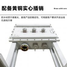 BXM���������ƹ���������������PLC��Ƶ����������ѹ���ÿ���