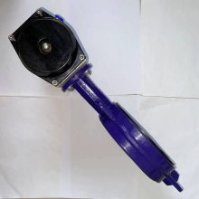 DN150ԼʽˮƷ