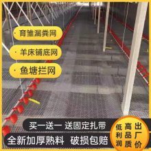 塑料育雏网片 白色养小鸭漏粪网 家禽养殖脚垫网