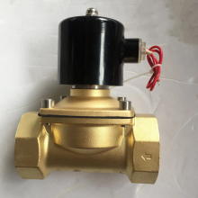Դͷ 2W յŷˮ 2W025-08 2W040-10  ͭȦ AC220V DC24V