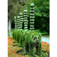 ￴̵ͨ ɶ
