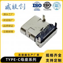 USB 3.1TYPE-Cĸ 180ʽֱ аtypec