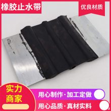 襄樊DN1200市政管道堵塞气囊充气式管道封堵气囊支持定制