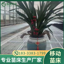 紲 һֲ ƶʽ紲 ȫ