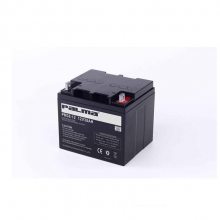 PALMA PM24-12 Ǧά12V24AH UPSԴ ֱ