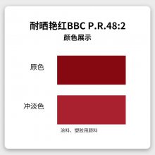 Ļл͸ɹ޺BBC P.R48:2Ϳ