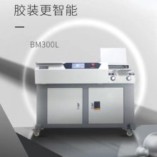 Ϻβ BM300L װ Һװ