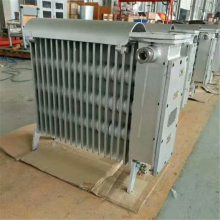 散热快矿用电热取暖器 温度保险丝双重控制 2KW矿用电热取暖器