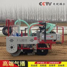 大顺平地气吸式菠菜香菜芹菜油菜播种机 气吸播种