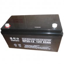 德利仕蓄电池 12V-200AH UPS 电源 直流屏 光伏 太阳能板 专用电池