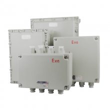 ѹ ExdBT4-IP54-WF2Ǳ궨