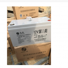 ɽʥ6GFM-100άǦ12V100AHܴ