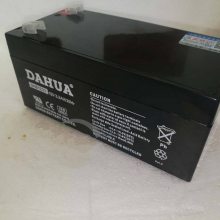 DAHUADHB121000 ѹ12V100AHԴ
