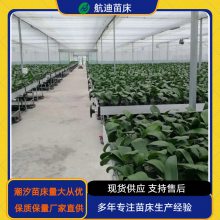 无土栽培潮汐灌溉系统 智能温室蔬菜种植移动苗床制造商