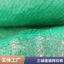 塑料三维植被网 护坡植草土工网垫世杰 山坡固土用三维网