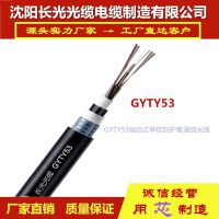 12芯 层绞式地埋铠装光缆 GYTY53-12B1 直埋光缆 铠装直埋光缆