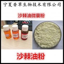 沙棘油粉 沙棘油微囊粉 亚麻酸70% 沙棘籽油粉