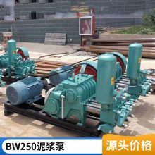 BW250ע ཬ ʽʽû