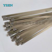 YSNEɭ쳧 304 Ӧý̴