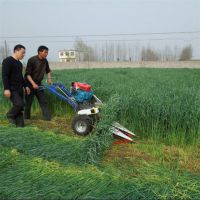 养殖业牧草收割机 干湿玉米杆收割机 皇竹草象草割晒机