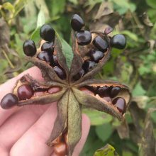 ����ĵ������۸�