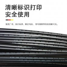 NSPV欧标4平方铜芯光伏电缆太阳能发电线兼容mc4延长线