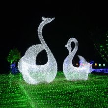 ƹƹ̳LEDⶨ