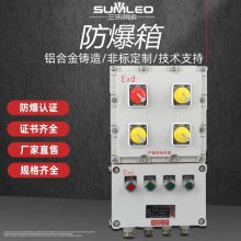 BXQ防爆磁力启动器 防爆配电箱7.5KW 5.5KW防爆配电箱 ***厂 家可定制