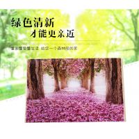 浙江椒江集成墙板集成墙面防水环保集成墙板集成墙面板价格