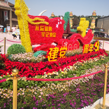 草花 节日摆花 绿丛园林