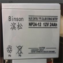 BinsonFM24-12 12V24AHֱUPSEPSԴǦƿ