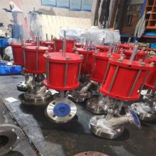 HG5-89 DN50-316L/CF8M ֶ׹޵׷Ϸ