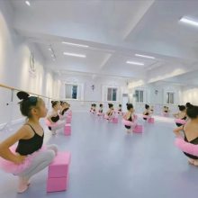 舞蹈地胶地垫专用教室专业室内pvc早教运动地板芭蕾街舞幼儿园