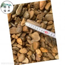 河池庭院鹅卵石厂家，过滤石鹅卵石铺路，变电站鹅卵石造景