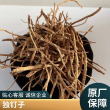 百步穿杨正宗药材金锁匙 无硫中药材金铁锁 原材料出售