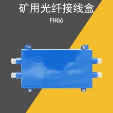 矿用光纤接线盒FHG4 FHG6光纤接续盒 铁皮金属壳体