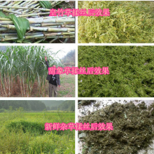 多功能铡草粉碎机家用秸秆粉碎揉丝机