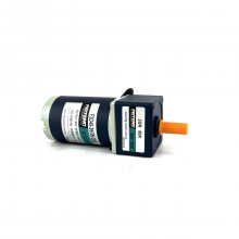 ��ӦF2D15-24GN-18S 2GN60K ����30תÿ���Ӱ�װ�豸������ˢ���