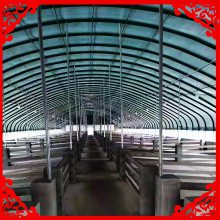 装乐竞体育- 乐竞体育官方网站- 乐竞体育APP配式牛舍大棚建造 养牛大棚安装 肉牛养殖大棚施工