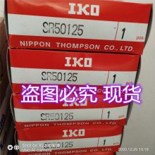 SR50125ƽ IKO