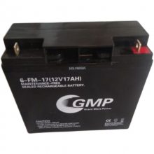 GMPPM65-12 12V65AHõ