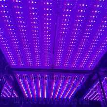 LED˹/Դֲ