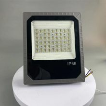 ledڽͶ100W ʷ200W܇g AsXH021