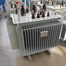 S11-M-200KVA/380V/1140V/1300V ͽʽ ѹѹ ȫͭ