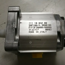 Danfossֱ111.10.032.00 SNP1NN/4,3RN01BAP1F3F3NNNN/NNNNN