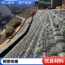 双向拉伸塑料土工格栅 路基路面增强 国标TGSG45-45KN塑料网格