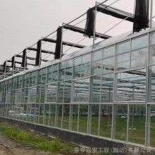 昱泰玻璃阳光板智能连栋温室花卉蔬菜育苗种植大棚YTWSWL0172