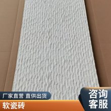 Ƭ  260*2800 ưĿ ɫװβ ˼