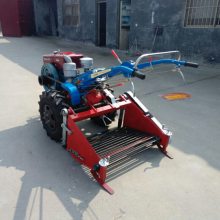 浙江省土豆收割机 新型红薯收获机 家庭用链条式花生起果机